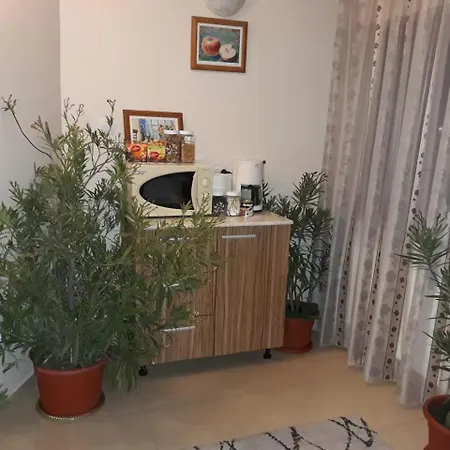 Villa Vila Hubertus Curtea de Argeş